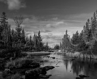 13/11-24 (Monica Tronsmoen) - Silence