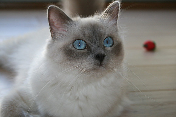 1/9-16: Milky