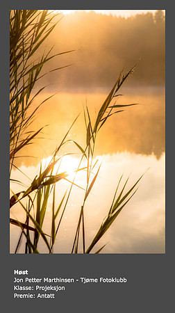 Vår 2015 - Tema: Natur - Tittel: Høst (Jon Petter Marthinsen)