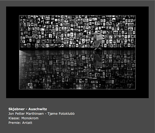 Vår 2014 -Skjebner - Auschwitz (Jon Petter Marthinsen)