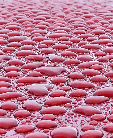 3pl (Sigmund Fjellberg) - Red Runway
