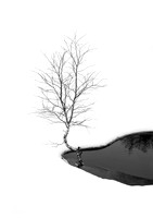 Vår 2026 - Waterwhole (Robin Alexander Nordtvedt)