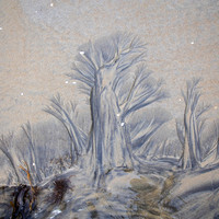 2pl (Solveig Myhre) - Naturens eget kunstverk