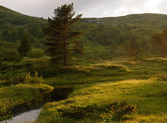 14/2-13: Sol etter regn
