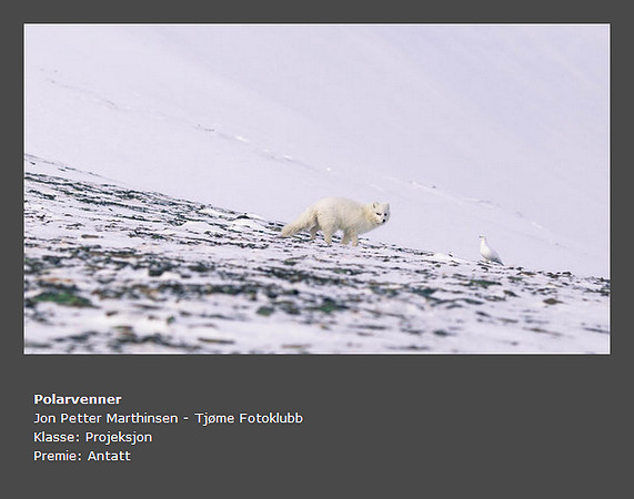 Høst 2015 - Polarvenner (Jon Petter Marthinsen)