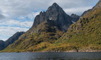 9pl (Henning Ottesen) - Barsk Natur