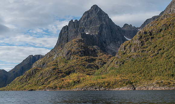 9pl (Henning Ottesen) - Barsk Natur