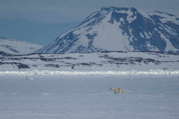 Delt 7pl (Tom Thodesen) - Arctic silence