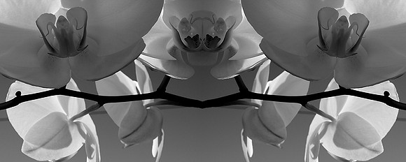 5 pl (Linn Lie Børsting) - Meditation