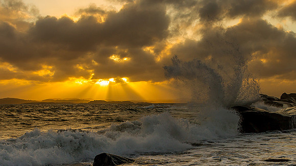 10/2-16: Sunbeam