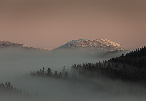 3 pl - Delt (Monica Tronsmoen) - Misty Sunrise