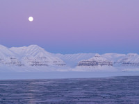 1pl (Berit Steinset) - Tempelfjorden