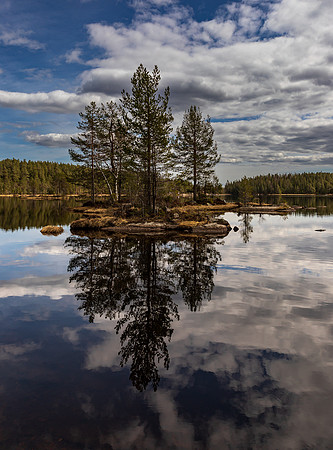 9pl (Monica Tronsmoen) - Vann