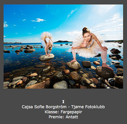 Høst 2013 - I (Cajsa Sofie Borgström)