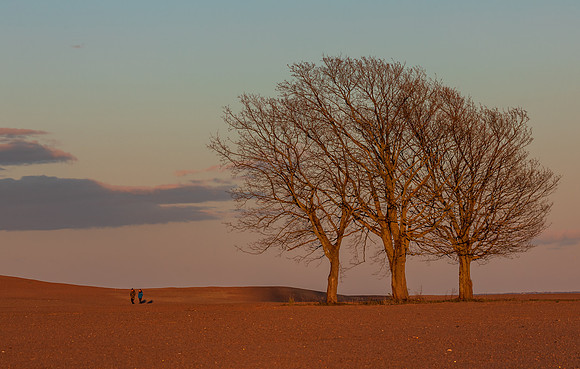 2 pl - Delt (Monica Tronsmoen) - The Big World