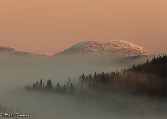 Vår 2021: Misty sunrise (Monica Tronsmoen)