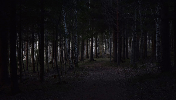 10. plass (Kari Kjølner) - Trollskogen