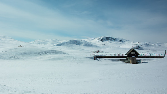 Delt 9pl (Magne Larsen) - På grunn