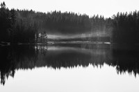Delt 4pl (Solveig Myhre) - Høststille