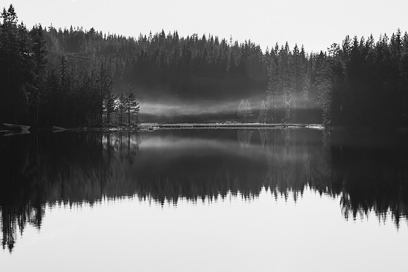 Delt 4pl (Solveig Myhre) - Høststille