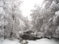 7pl (Berit Steinset) - Vinter i skogen