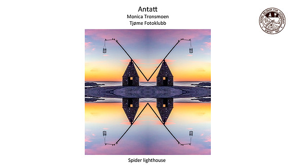 Vår 2020: Spider lighthouse (Monica Tronsmoen)
