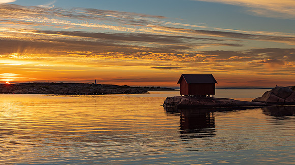 Delt 2pl (Monica Tronsmoen) - Golden light