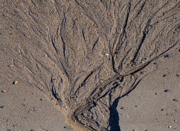 10pl (Berit Steinset) - Tre i sand