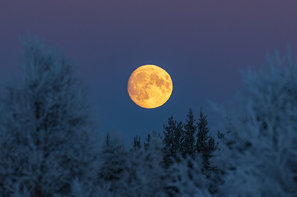 5 pl (Monica Tronsmoen) - La luna