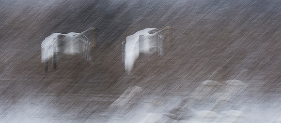 2024: Take off (Tom Thodesen)