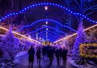 5/12-24 (Henning Ottesen) - Jul i Liseberg