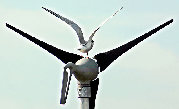 10/1-08: Dobbeltdekker