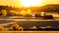 10pl (Jon Petter Marthinsen) Golden Winter