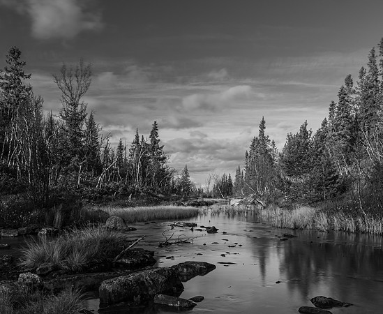 1pl (Monica Tronsmoen) - Silence