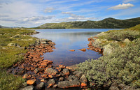 Delt 8. plass (Solveig Myhre) - Fjellparti ved Heddersvann