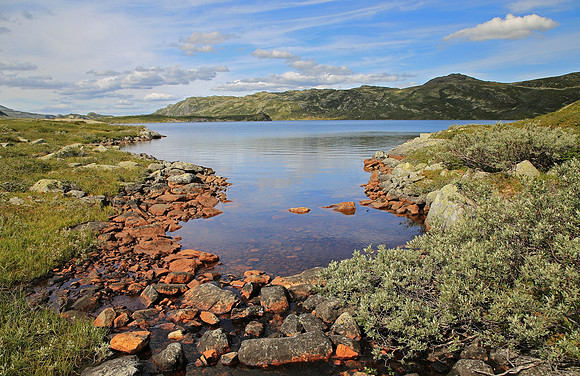 Delt 8. plass (Solveig Myhre) - Fjellparti ved Heddersvann